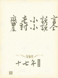 恋老小说言情网农村小说全文阅读