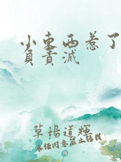 小东西惹了火要负责灭