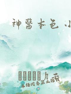 神医本色 小说