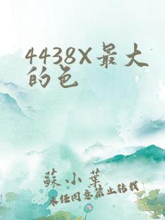 4438X最大的色