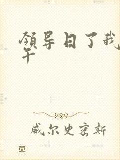 领导日了我一下午