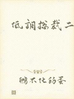 低调总裁二手妻