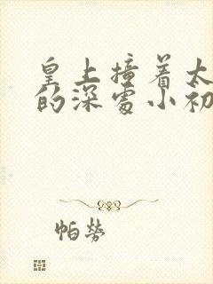 皇上撞着太子妃的深处小初