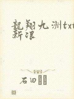 龙翔九洲txt新浪