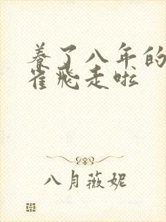 养了八年的金丝雀飞走啦