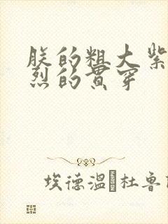 朕的粗大紫红猛烈的贯穿