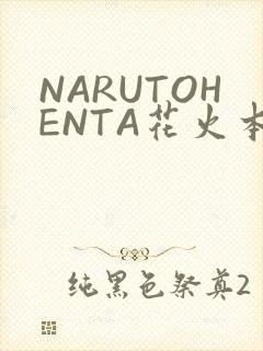 NARUTOHENTA花火本子