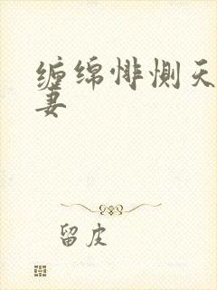 缠绵悱恻天价前妻