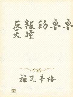 反叛的鲁鲁修之天瞳