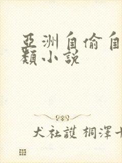 亚洲自偷自拍另类小说