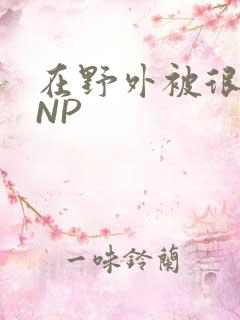 在野外被很多人NP