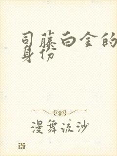 司藤白金的真实身份