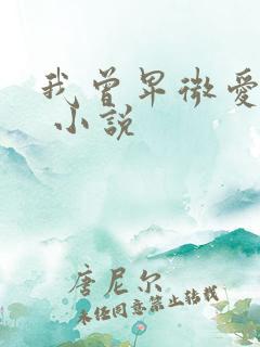 我曾卑微爱过你 小说
