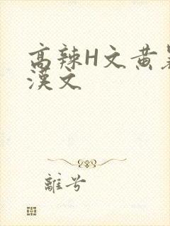 高辣H文黄暴糙汉文