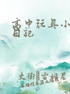 高中玩具小诗的日记