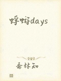 蜉蝣days