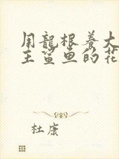 用龙根养大的公主鲨鱼的花