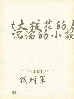 t大校花的屈辱沉沦的小说