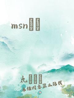 msnС˵