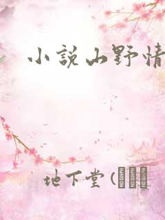 小说山野情债