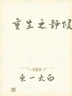 重生之静候锦年