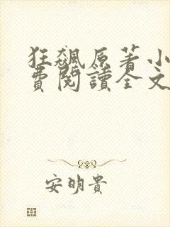 狂飙原著小说免费阅读全文