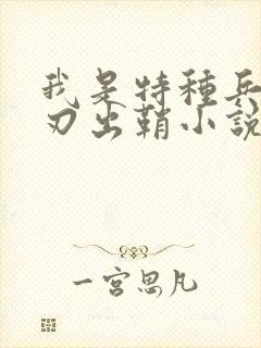 我是特种兵之利刃出鞘小说