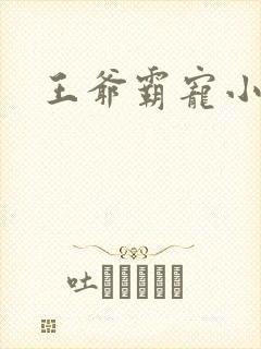 王爷霸宠小甜妻