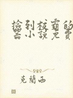 捡到校霸的遥控器小说免费阅读