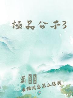 极品公子3