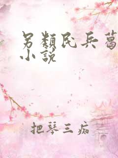 另类民兵葛二蛋小说