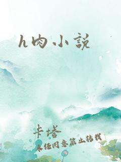 h肉小说