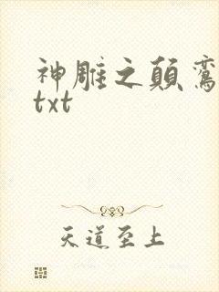 神雕之颠鸾倒凤txt