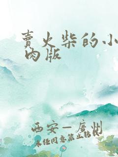 卖火柴的小男孩 肉版