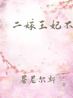 二嫁王妃不好惹