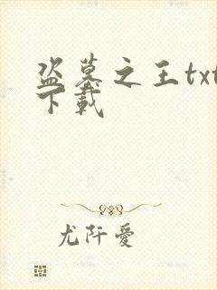 盗墓之王txt下载