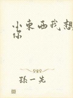 小东西我想弄坏你