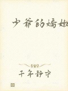 少爷的娇嫩女仆