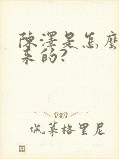 陈泽是怎么火起来的?