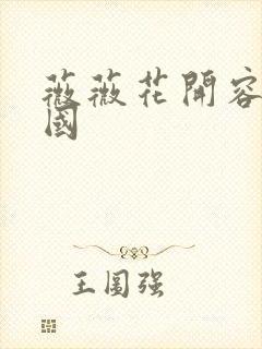 薇薇花开容颜倾国