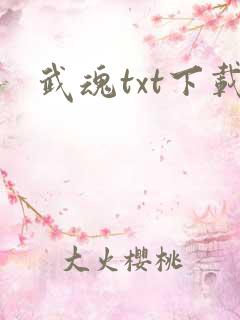 武魂txt下载