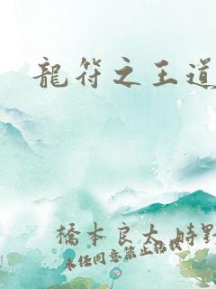 龙符之王道天下