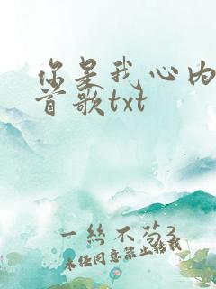 你是我心内的一首歌txt