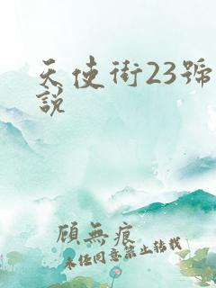 天使街23号小说