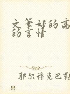文笔好的高质量的言情