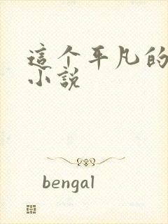 这个平凡的男子小说