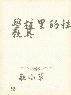 学校里的性教学教具