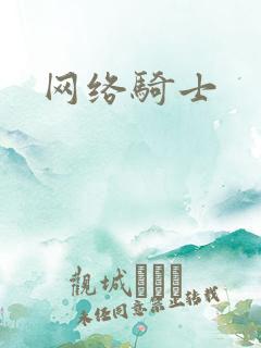 网络骑士