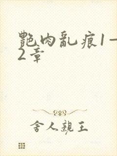 艳肉乱痕1—12章