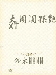 大团圆孙艳梅TXT